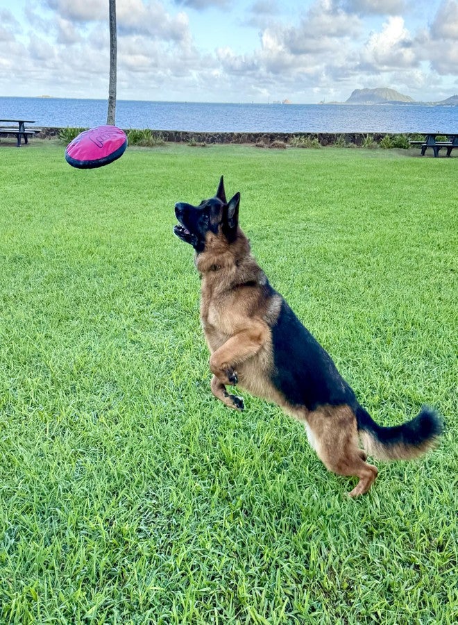 Shaka ZippyToss Flying Dog Disc Interative Fetch Toy 9" (Multi-Color, Pack of 5) - Image 5